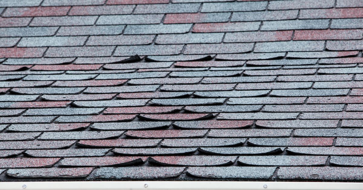 Common Causes Of Roof Damage And How To Avoid It In Buford, GA